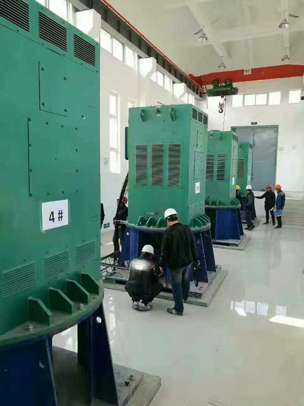 潜江某污水处理厂使用我厂的立式高压电机安装现场